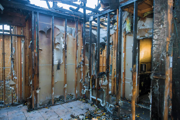 Professional Fire Damage Repair technician working in Westwood, MI